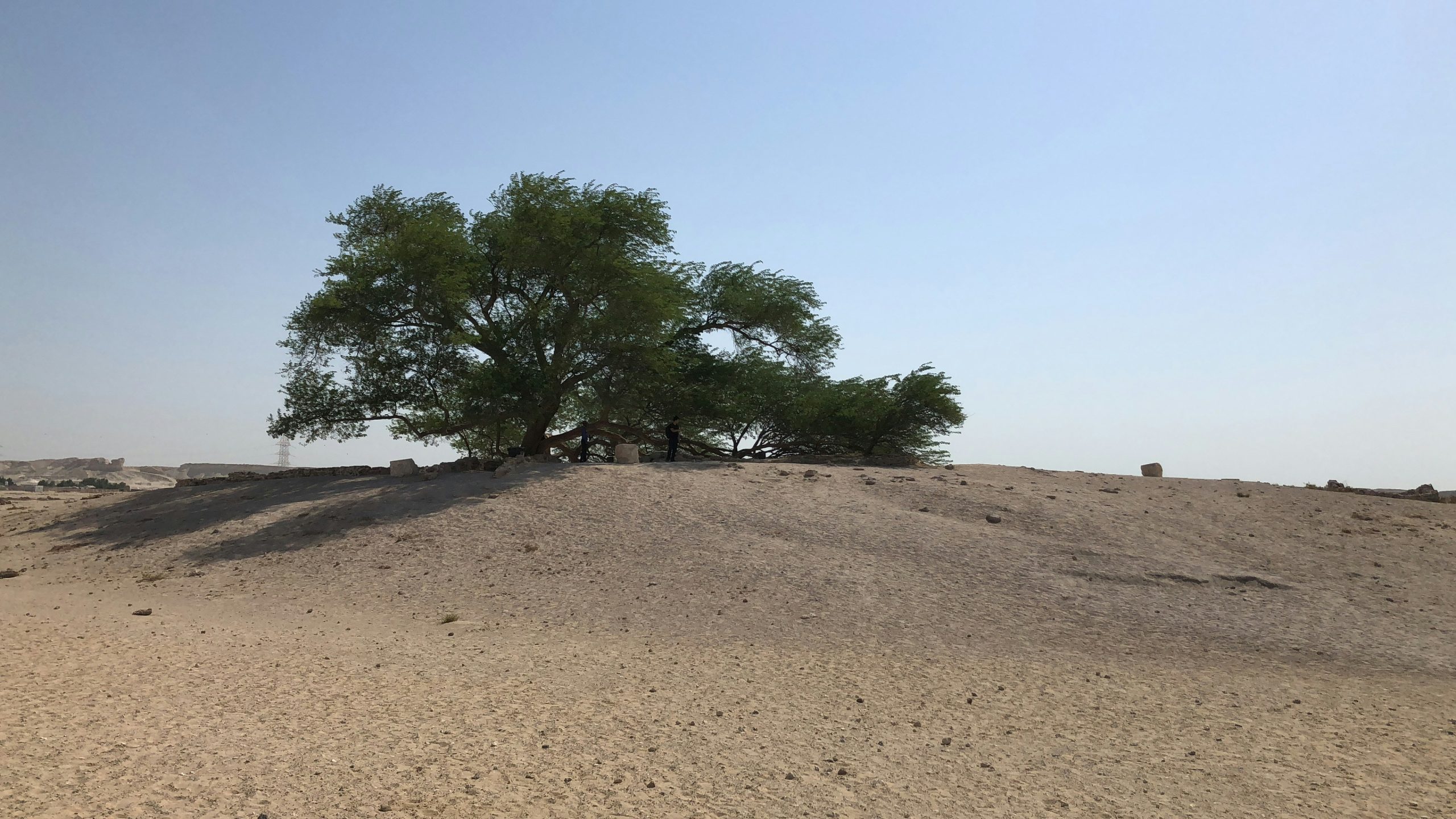 ahmad-yahya-_gwlbeg3vTY-unsplash
