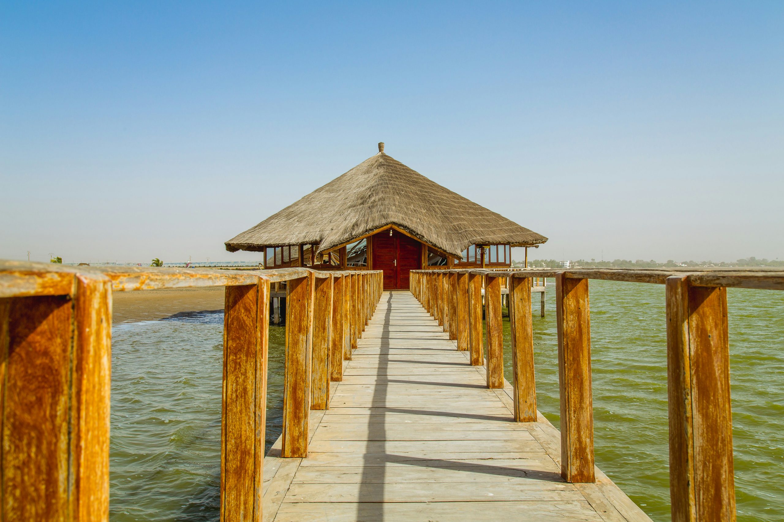 aliunix-_koULE70YbQ-unsplash