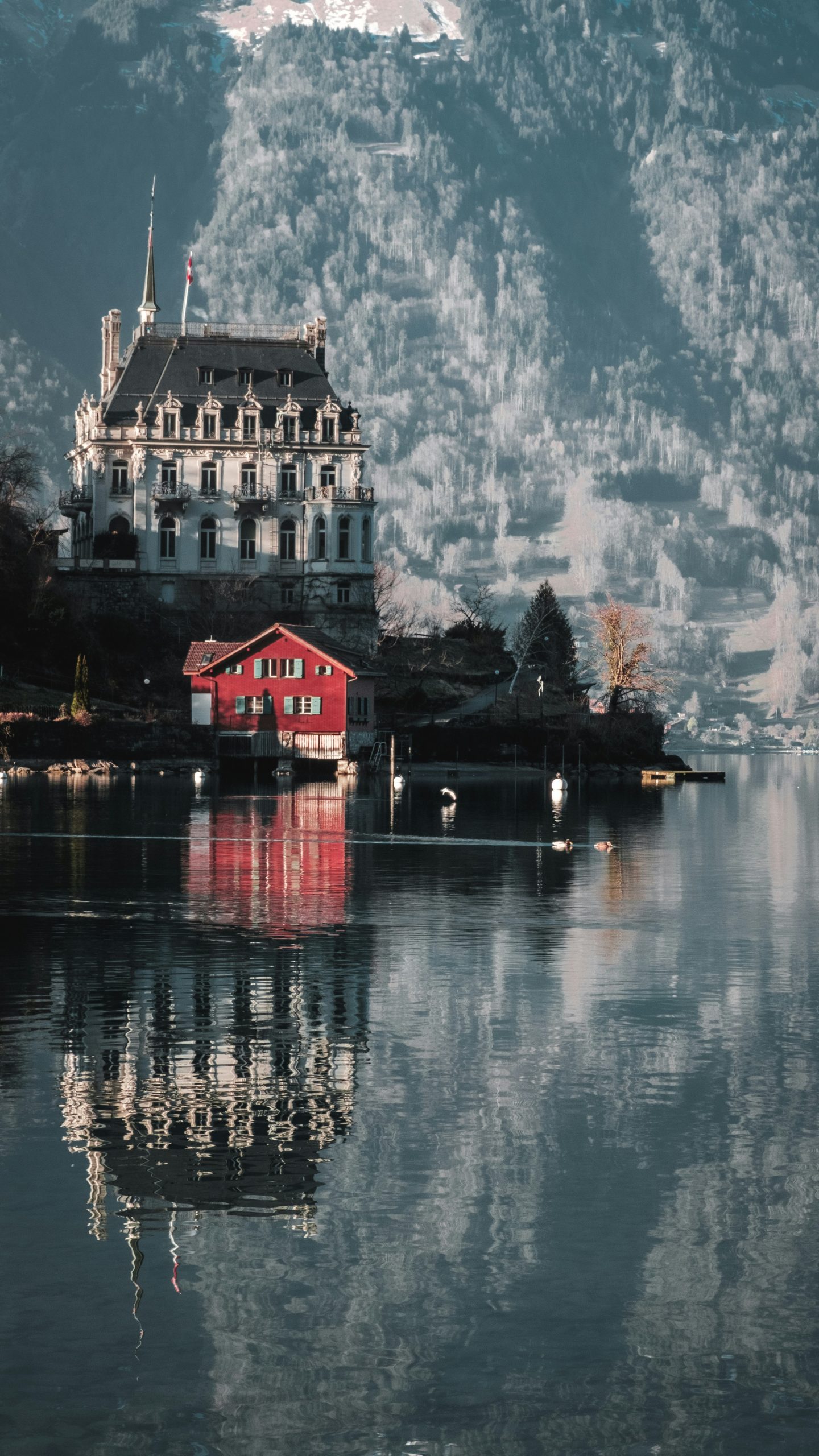 daniel-fazio-c8GQ7JAjpsg-unsplash