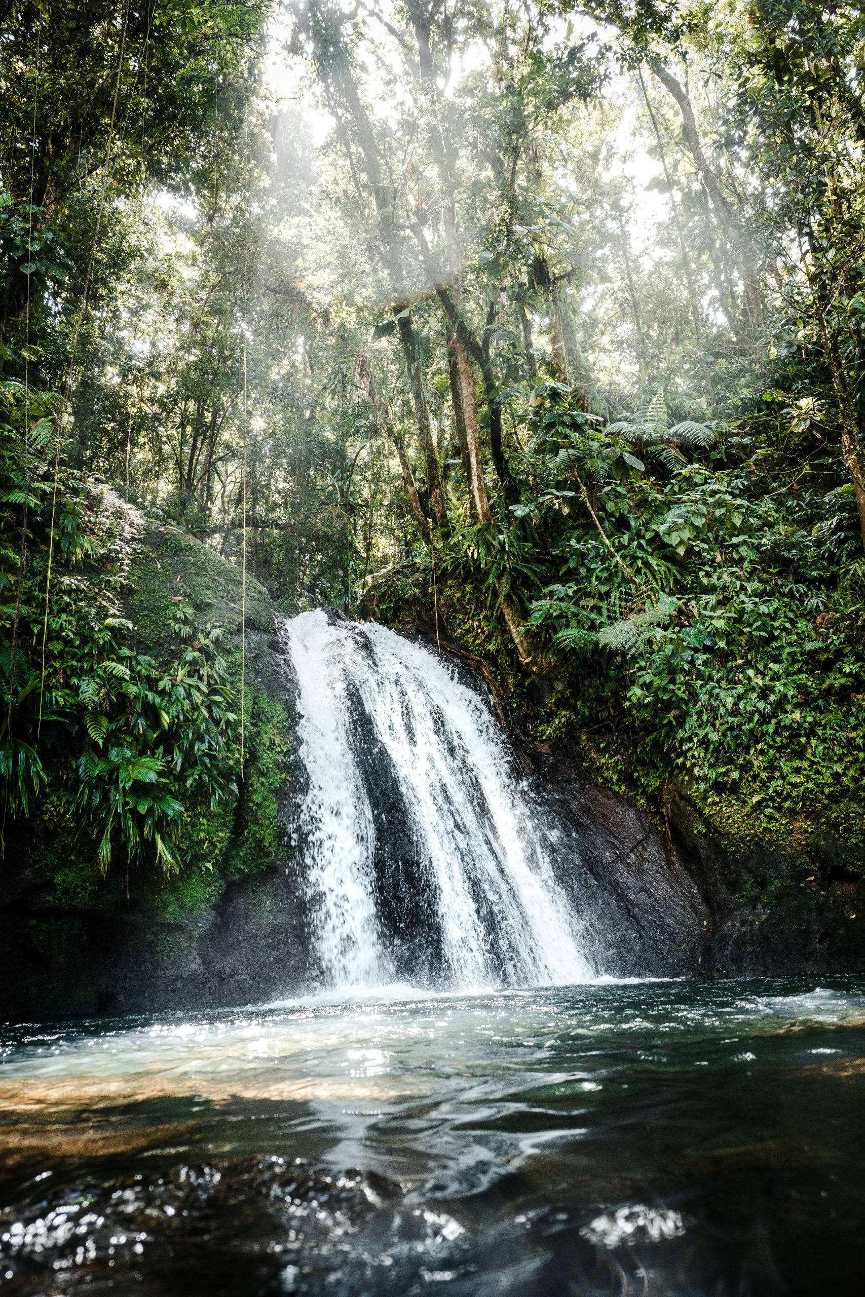 daniel-oberg-fG5jun4bYBQ-unsplash