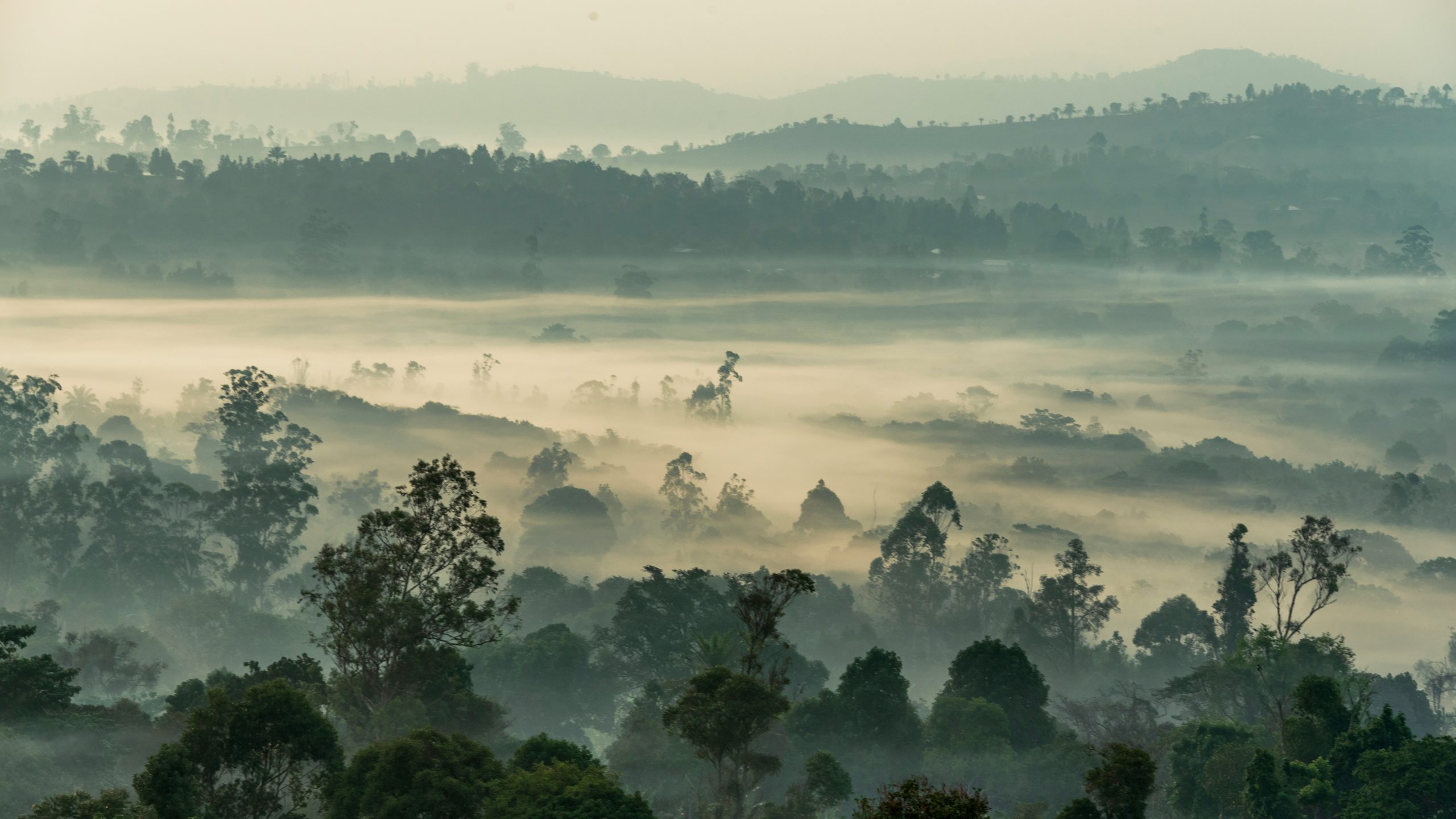 edouard-tamba-9ZFn__BKP_s-unsplash