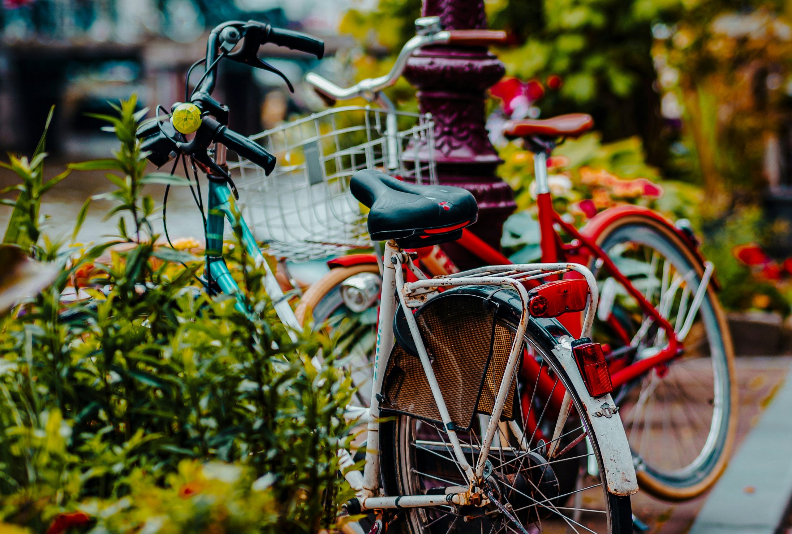jahanzeb-ahsan-bFkEhOCJoYc-unsplash
