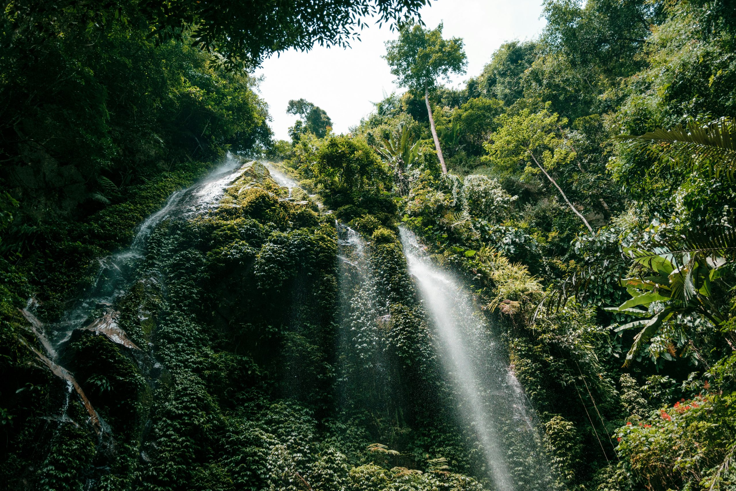 job-savelsberg-D7wMZhkjqVk-unsplash