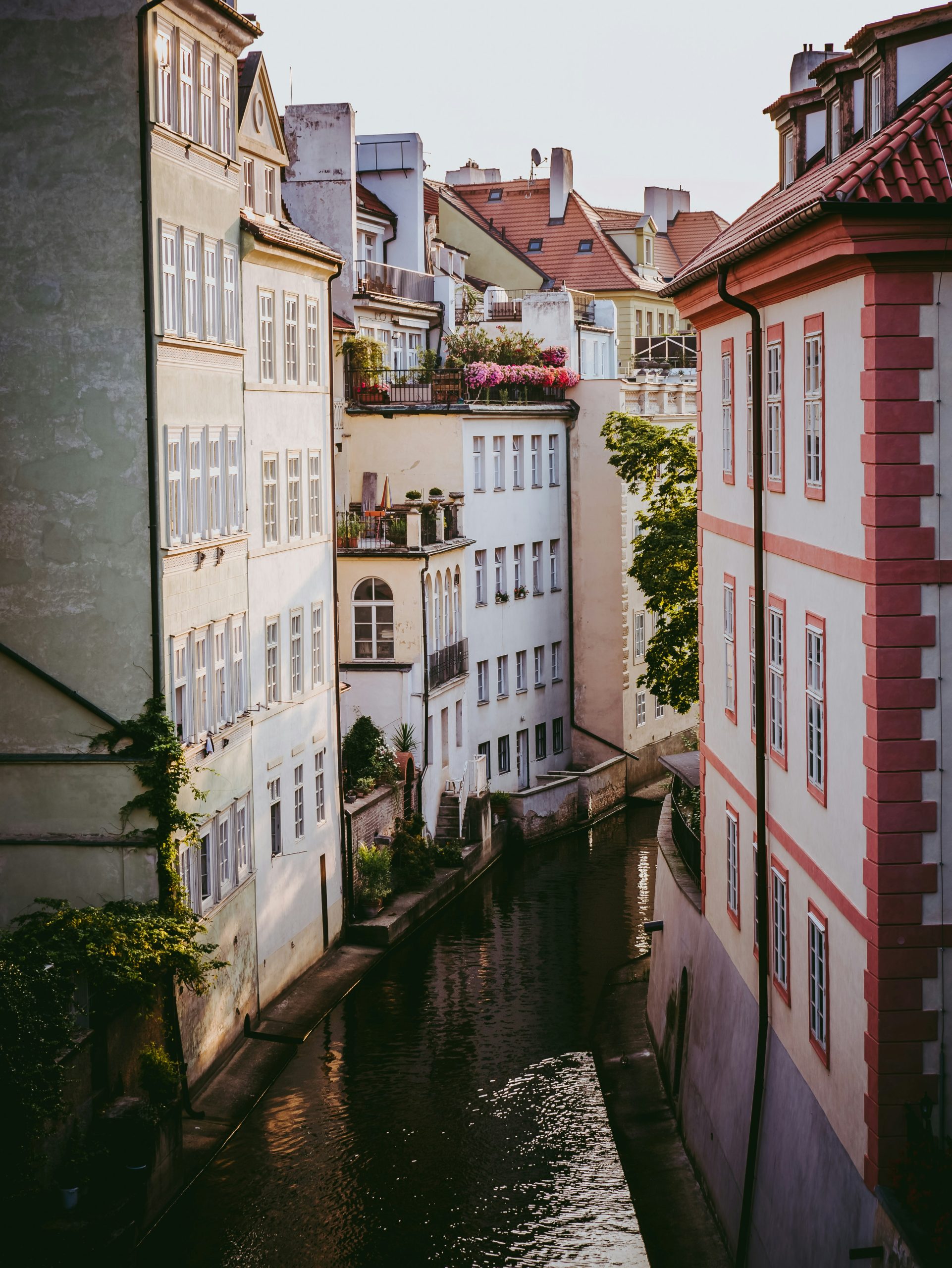 kevin-andre-TcJkdeXgksQ-unsplash