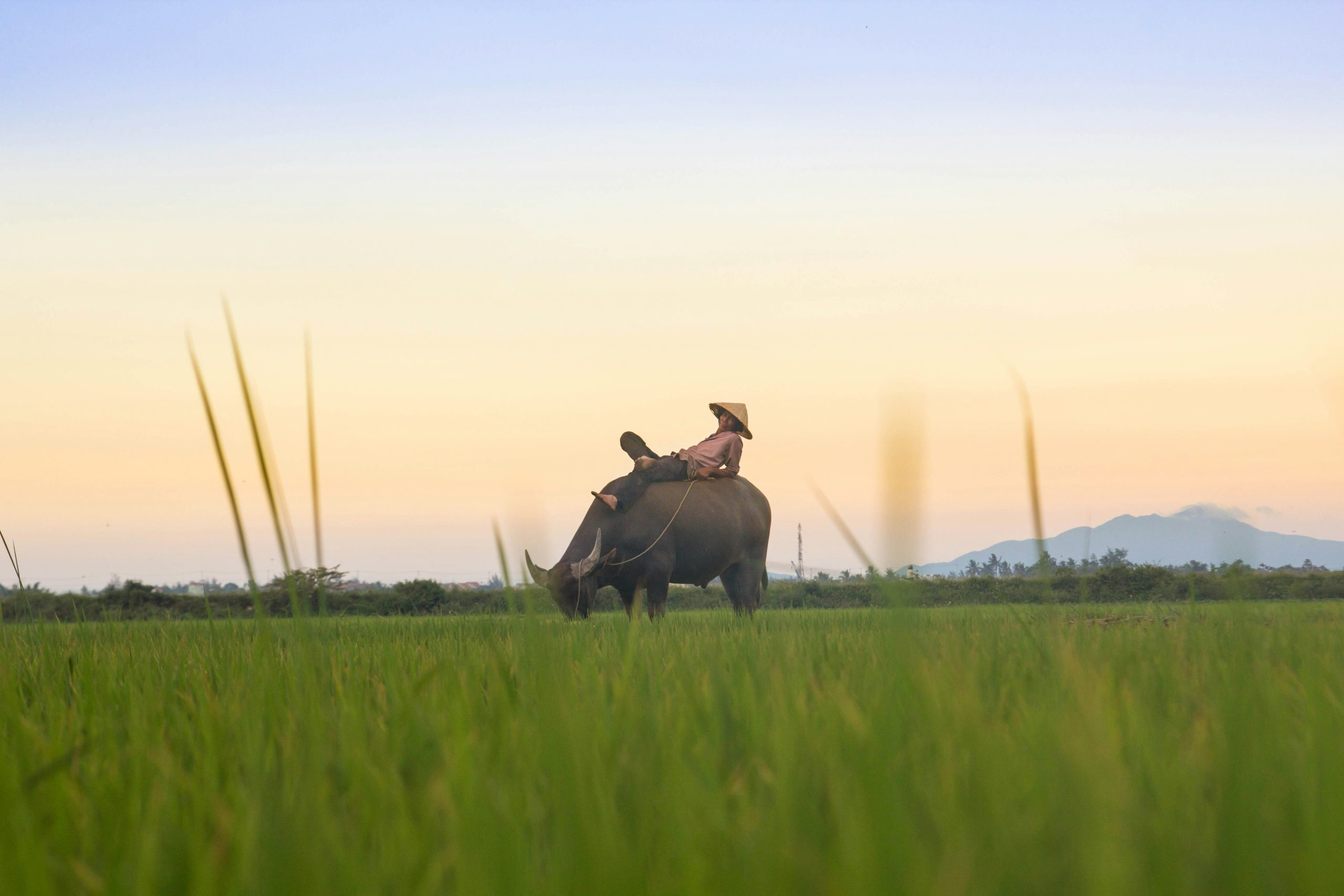 kiril-dobrev-UB0QiVPsXgc-unsplash