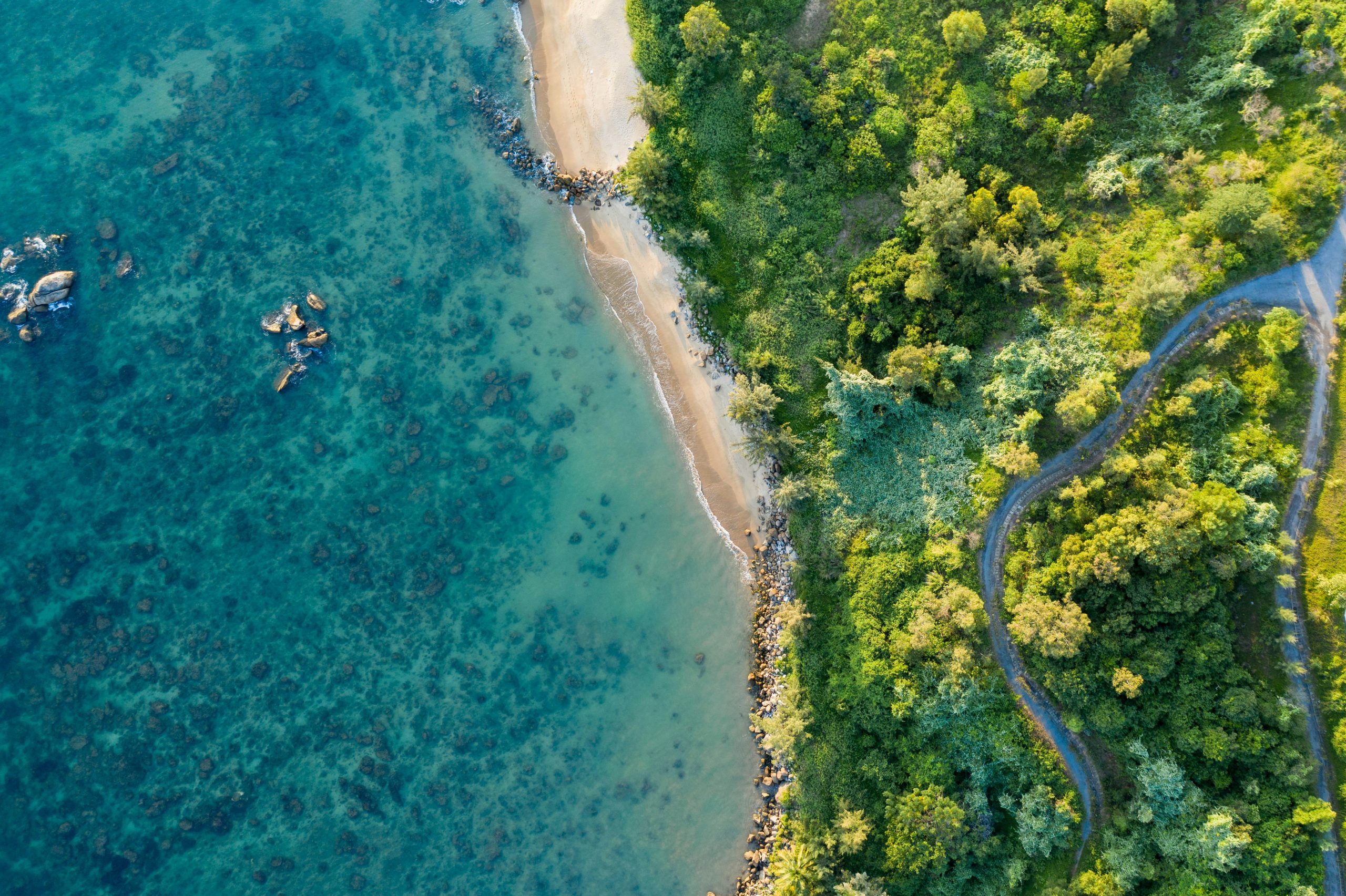 kiril-dobrev-v63UL8s28Ew-unsplash