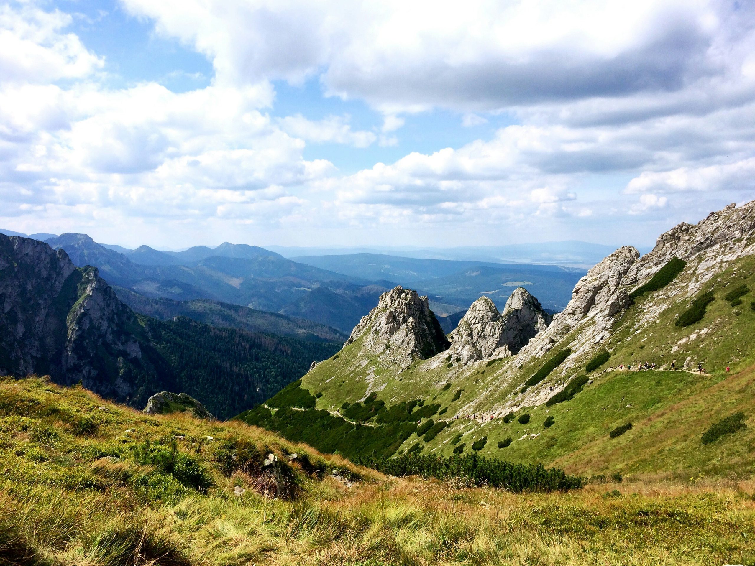 maksym-harbar-2tm8_o9OOrY-unsplash