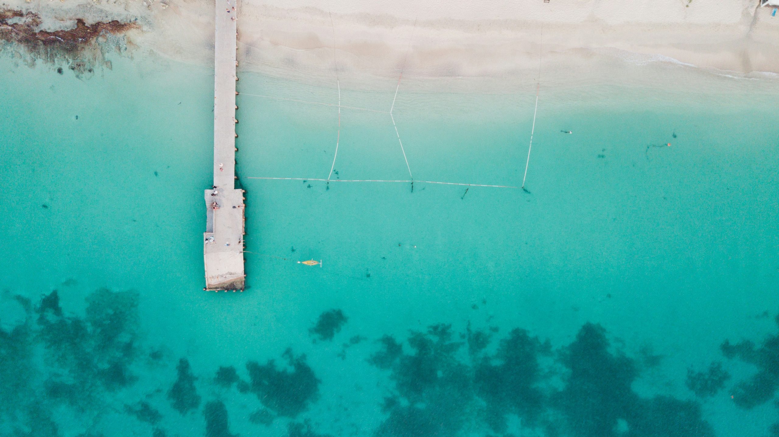 rajvinder-singh-TiXb9Q2mYPA-unsplash