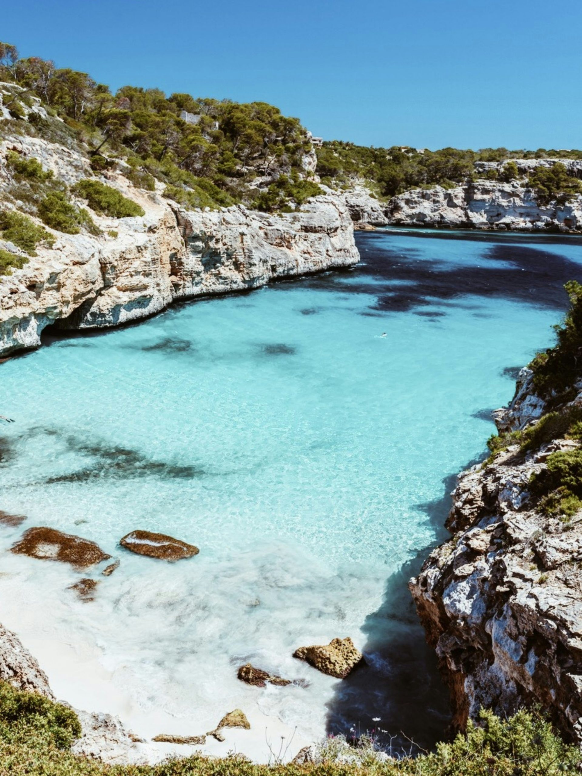reiseuhu-U6khpQUuypc-unsplash
