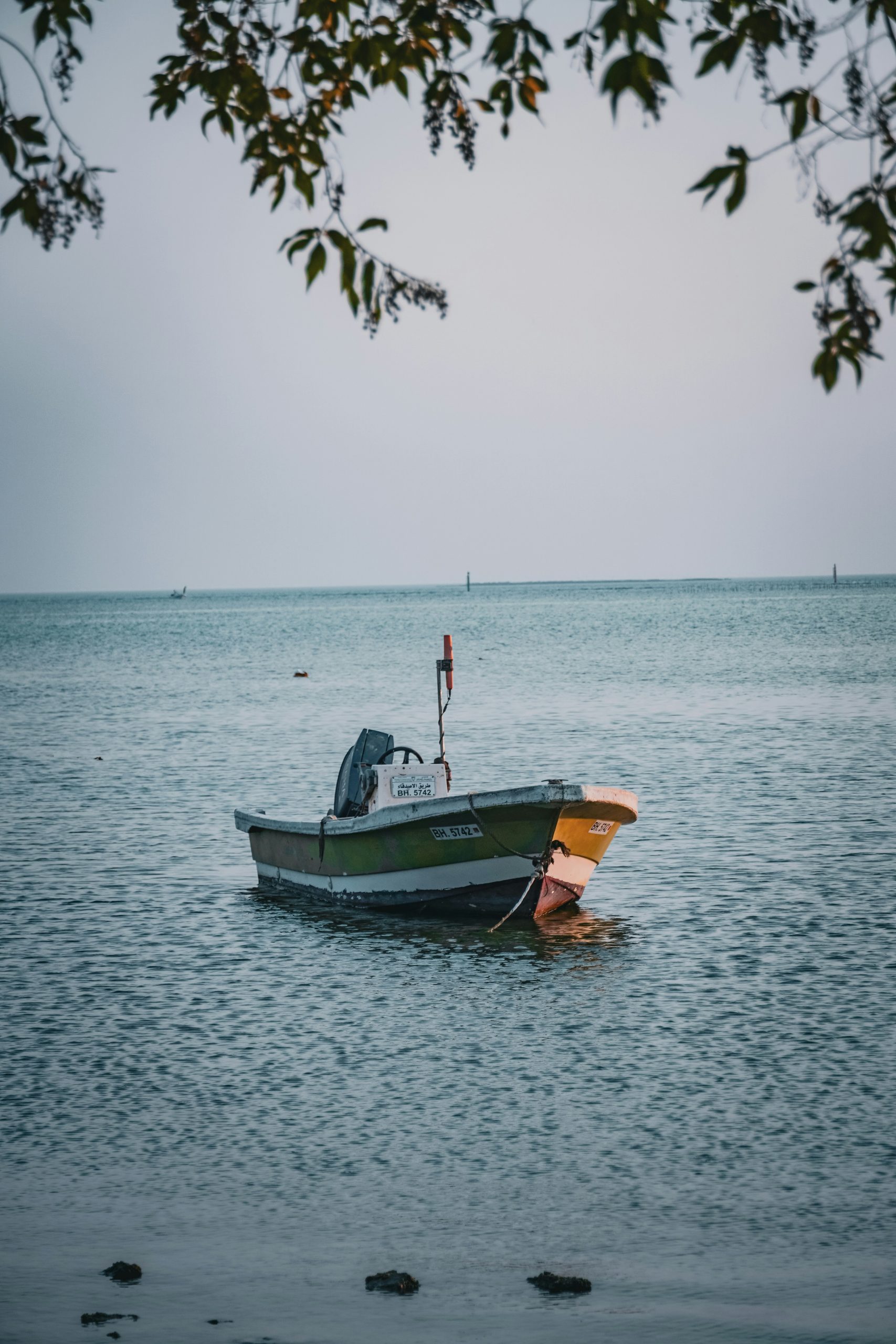 shahana-c-FRrdsmnOBUU-unsplash