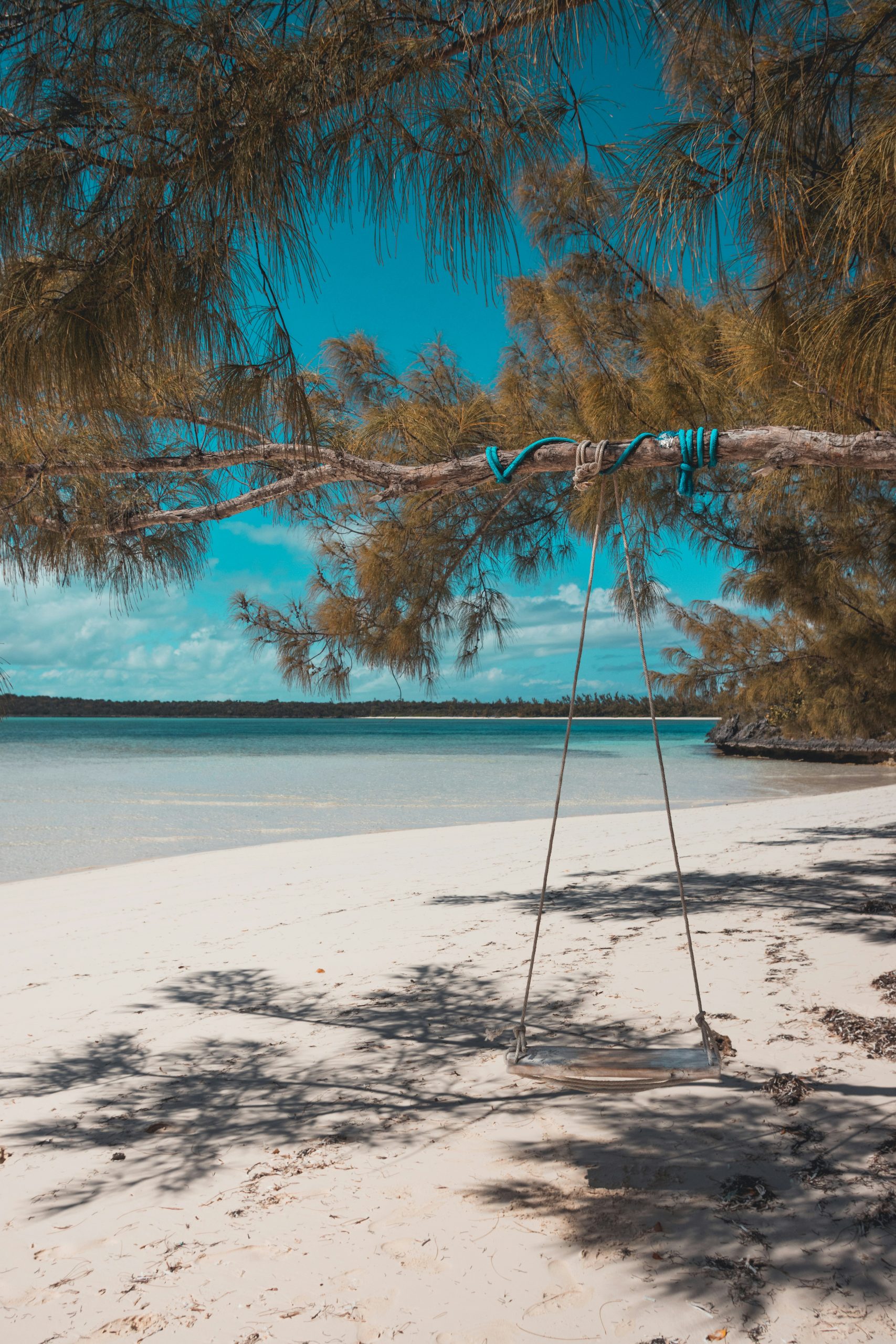 shaquille-campbell-CkuXoC59LcY-unsplash
