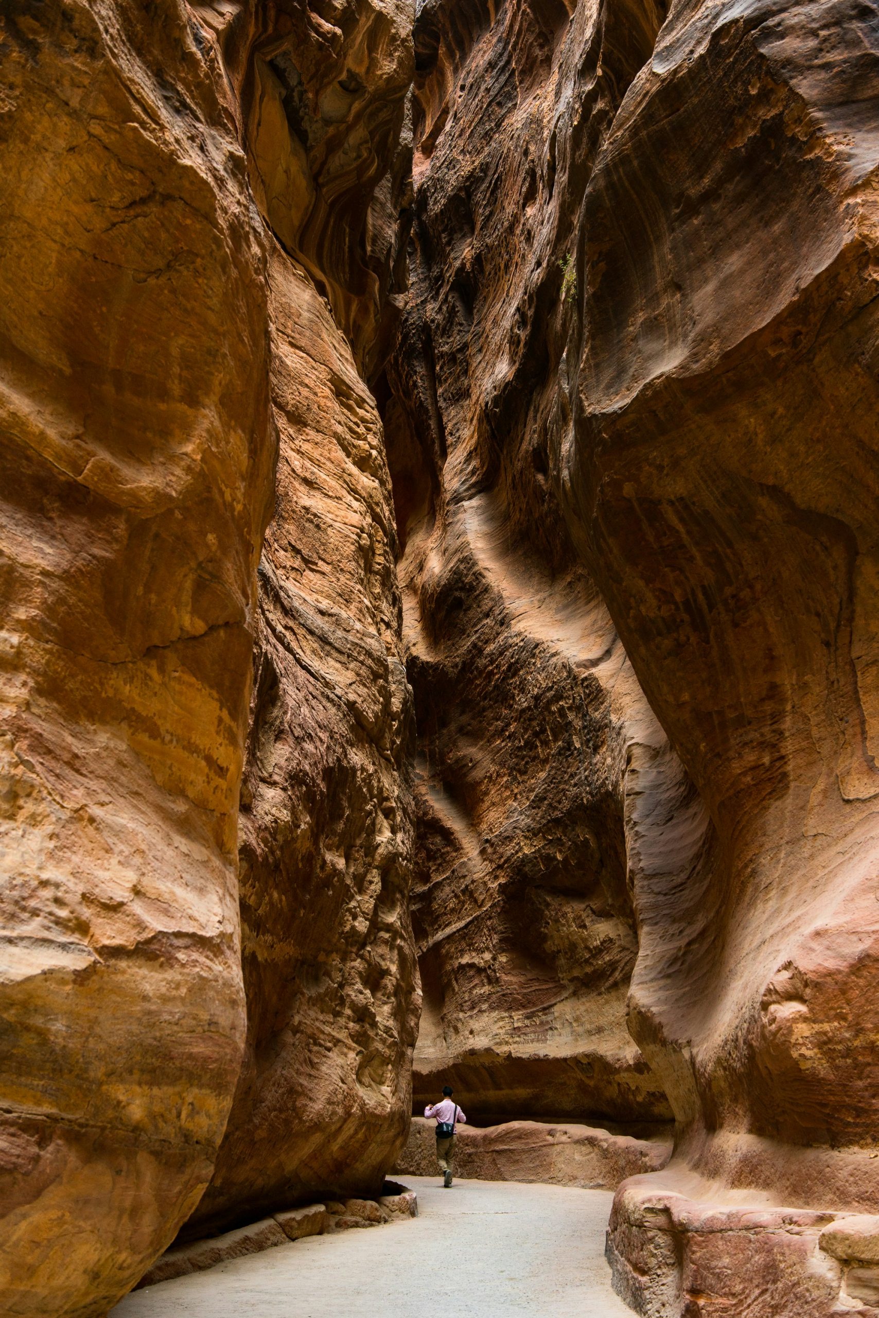 simon-goetz-z5cCf20gOE8-unsplash